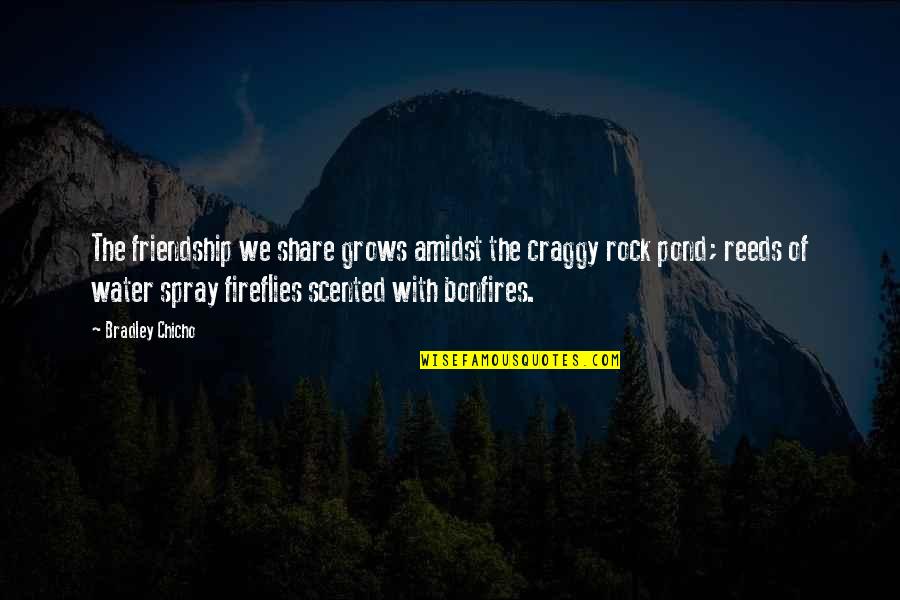 F H Bradley Quotes By Bradley Chicho: The friendship we share grows amidst the craggy