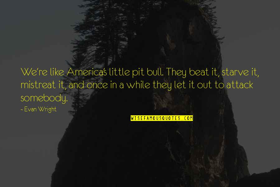 F L Wright Quotes By Evan Wright: We're like America's little pit bull. They beat