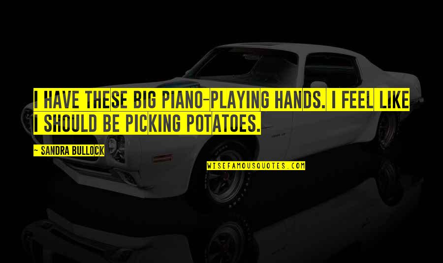 F M Piano Quotes By Sandra Bullock: I have these big piano-playing hands. I feel