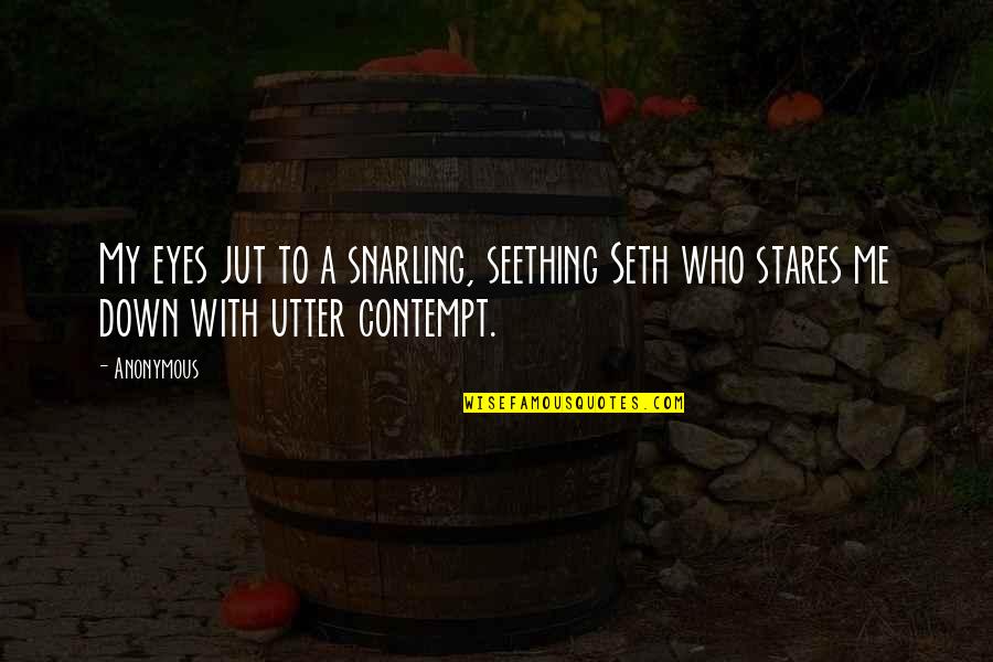 F Norcan Collie Quotes By Anonymous: My eyes jut to a snarling, seething Seth