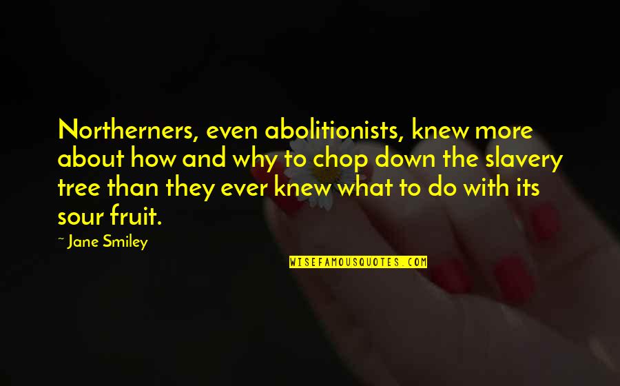 F.r.i.e.n.d.s Tv Show Birthday Quotes By Jane Smiley: Northerners, even abolitionists, knew more about how and