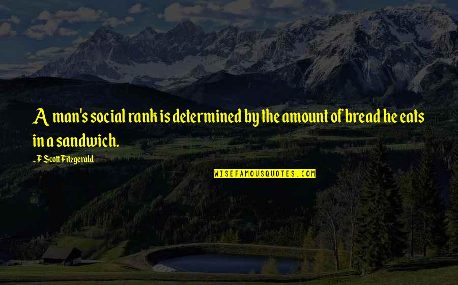 F S Fitzgerald Quotes By F Scott Fitzgerald: A man's social rank is determined by the
