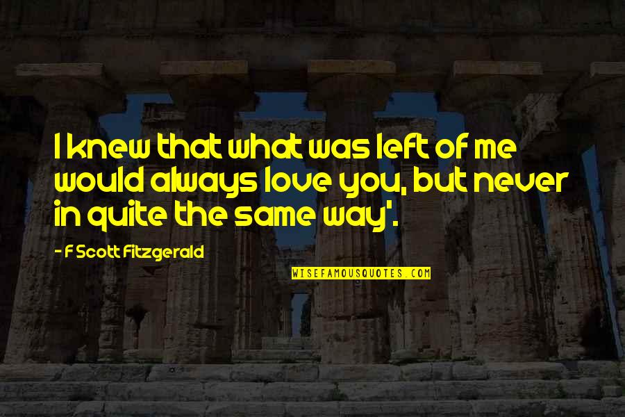 F Scott Fitzgerald Love Quotes By F Scott Fitzgerald: I knew that what was left of me