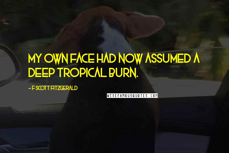 F Scott Fitzgerald quotes: My own face had now assumed a deep tropical burn.