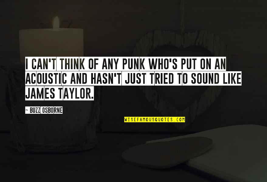F W Taylor Quotes By Buzz Osborne: I can't think of any punk who's put