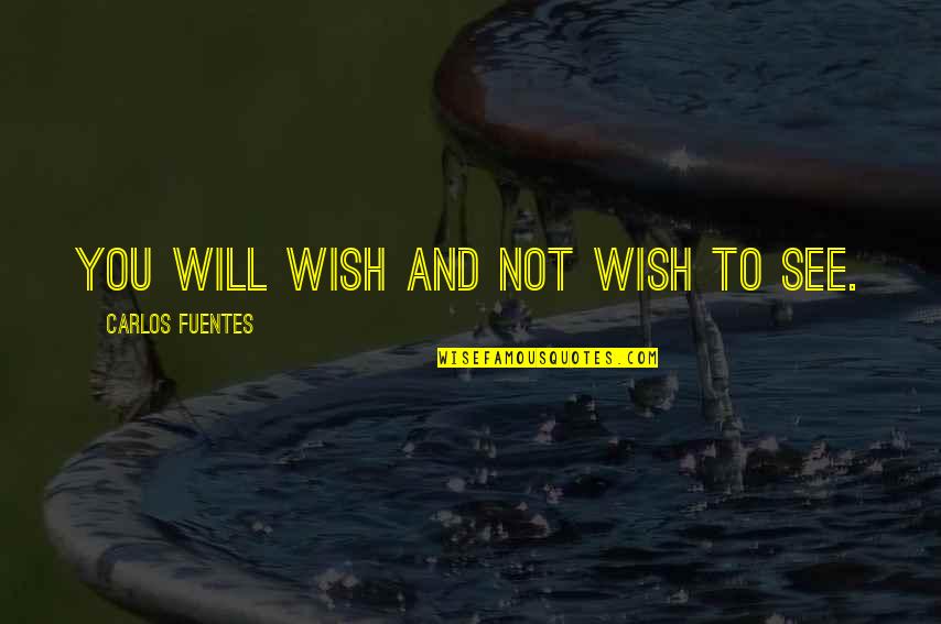 Fa Cup Quotes By Carlos Fuentes: You will wish and not wish to see. Fa Cup Quotes By Carlos Fuentes: You will wish and not wish to see.