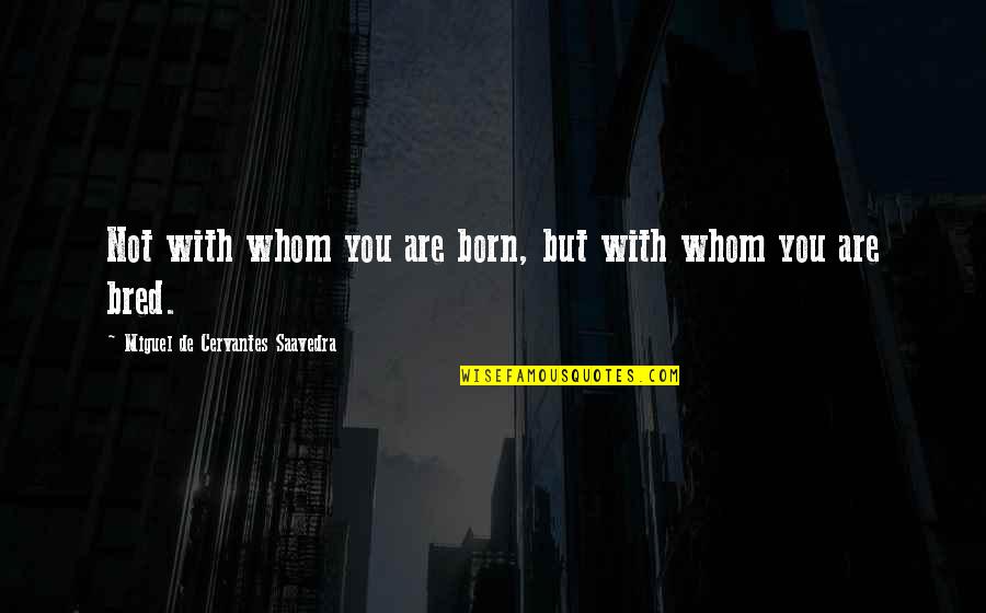 Fabbricatore Di Quotes By Miguel De Cervantes Saavedra: Not with whom you are born, but with Fabbricatore Di Quotes By Miguel De Cervantes Saavedra: Not with whom you are born, but with