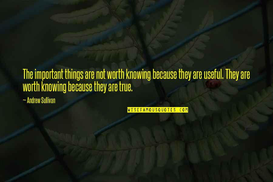 Fabled Passage Quotes By Andrew Sullivan: The important things are not worth knowing because Fabled Passage Quotes By Andrew Sullivan: The important things are not worth knowing because