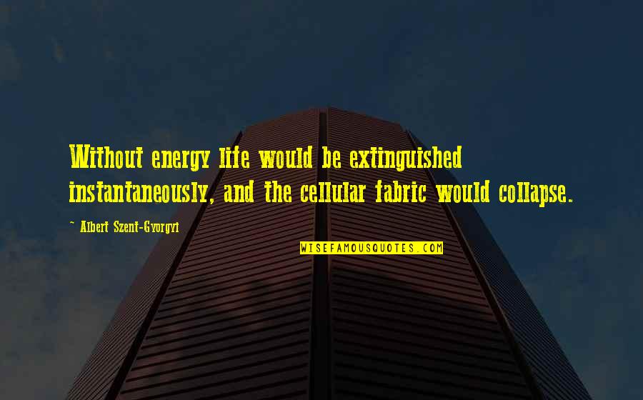 Fabric Of Life Quotes By Albert Szent-Gyorgyi: Without energy life would be extinguished instantaneously, and Fabric Of Life Quotes By Albert Szent-Gyorgyi: Without energy life would be extinguished instantaneously, and