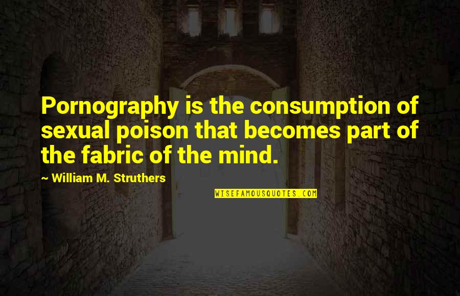 Fabric Quotes By William M. Struthers: Pornography is the consumption of sexual poison that