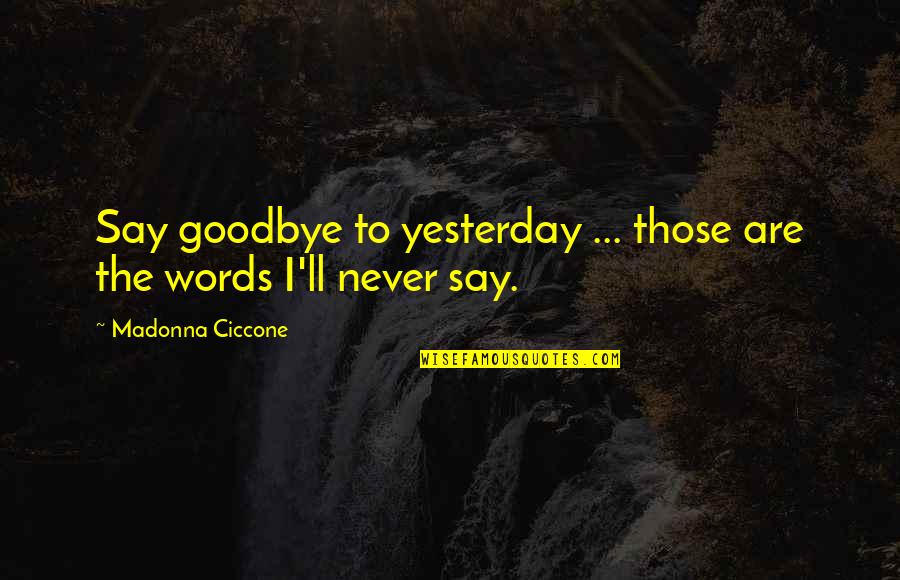 Fabricio Werdum Quotes By Madonna Ciccone: Say goodbye to yesterday ... those are the Fabricio Werdum Quotes By Madonna Ciccone: Say goodbye to yesterday ... those are the