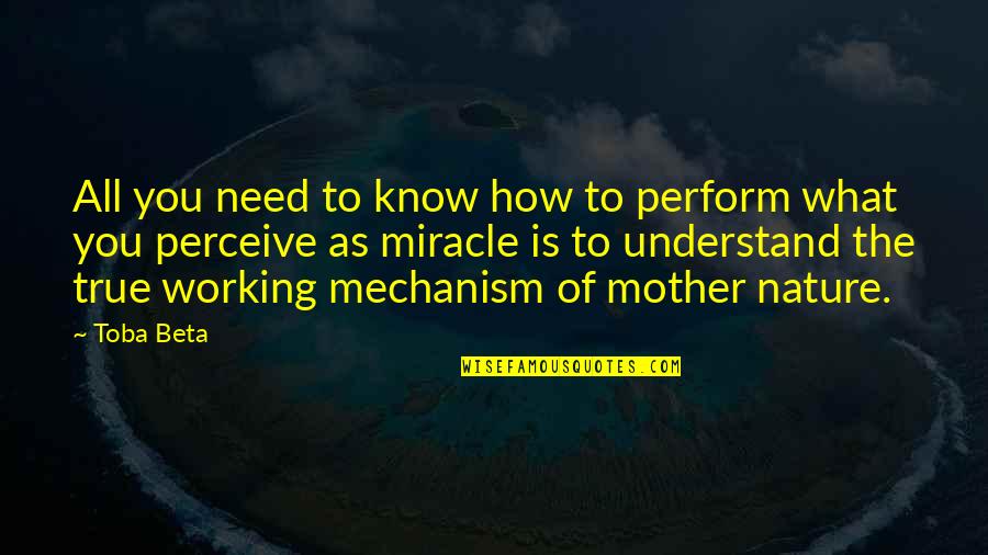 Fabrikant Tara Quotes By Toba Beta: All you need to know how to perform