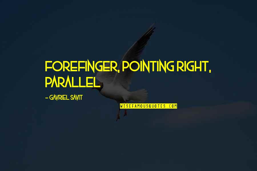 Facciata Ventilata Quotes By Gavriel Savit: forefinger, pointing right, parallel