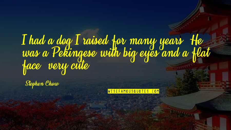Face And Eyes Quotes By Stephen Chow: I had a dog I raised for many Face And Eyes Quotes By Stephen Chow: I had a dog I raised for many