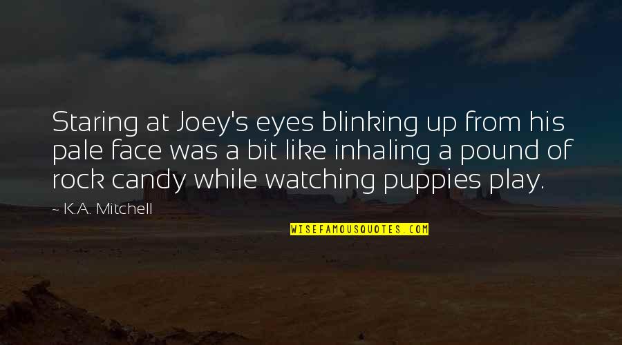 Face Like A Quotes By K.A. Mitchell: Staring at Joey's eyes blinking up from his