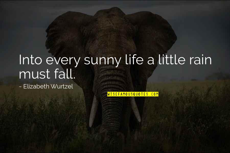 Face Mcshooty Quotes By Elizabeth Wurtzel: Into every sunny life a little rain must