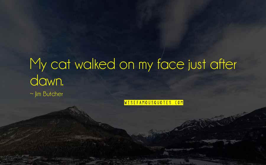 Face On Quotes By Jim Butcher: My cat walked on my face just after