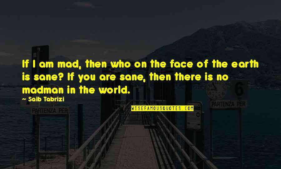 Face On Quotes By Saib Tabrizi: If I am mad, then who on the