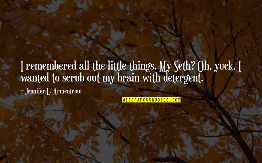Face Portrait Quotes By Jennifer L. Armentrout: I remembered all the little things. My Seth?