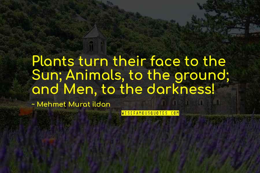 Face The Sun Quotes By Mehmet Murat Ildan: Plants turn their face to the Sun; Animals,