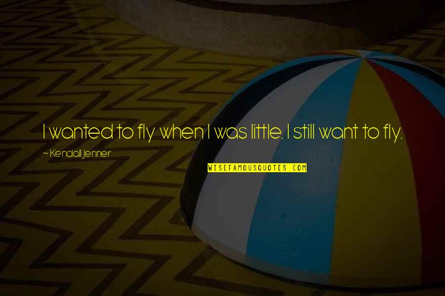 Face To Face Meeting Quotes By Kendall Jenner: I wanted to fly when I was little. Face To Face Meeting Quotes By Kendall Jenner: I wanted to fly when I was little.