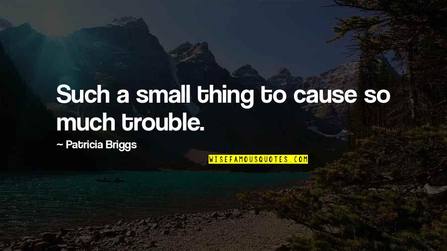 Facebook Heart Break Quotes By Patricia Briggs: Such a small thing to cause so much