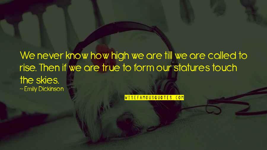 Facebook Official Relationship Quotes By Emily Dickinson: We never know how high we are till