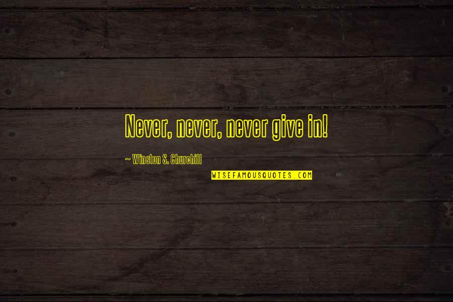 Facebook Photo Funny Quotes By Winston S. Churchill: Never, never, never give in!