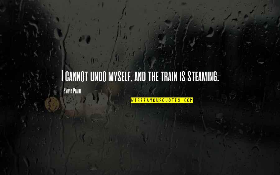 Facehole Quotes By Sylvia Plath: I cannot undo myself, and the train is