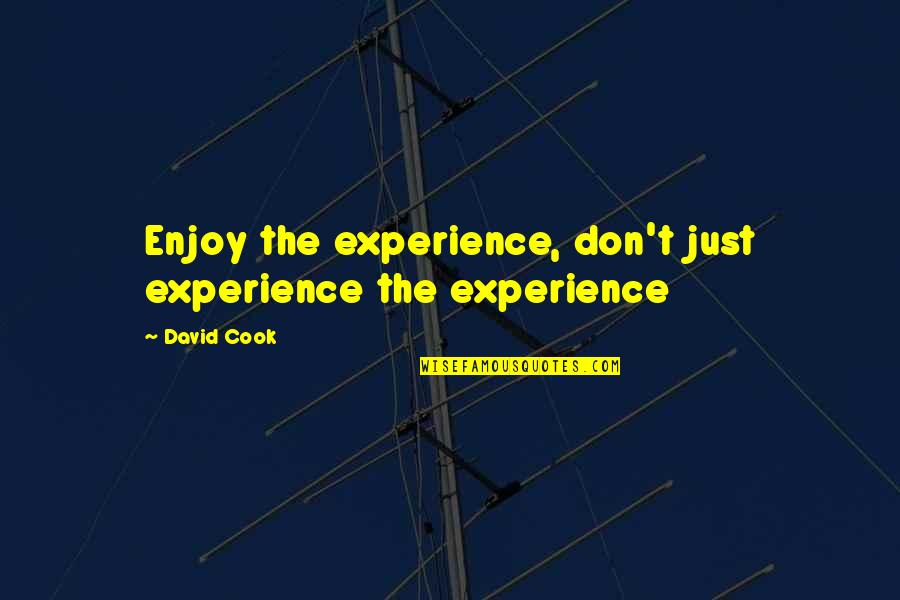 Facendo Bene Quotes By David Cook: Enjoy the experience, don't just experience the experience