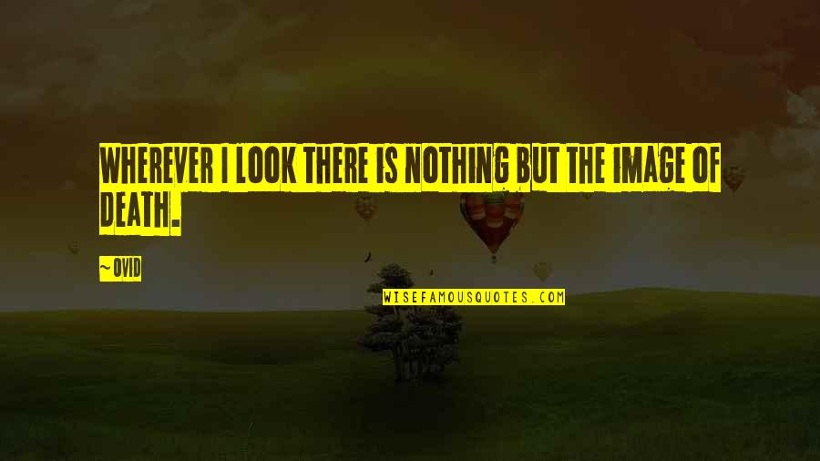 Faces Expression Quotes By Ovid: Wherever I look there is nothing but the