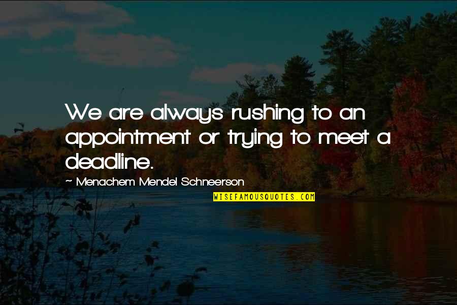 Facial Beauty Quotes By Menachem Mendel Schneerson: We are always rushing to an appointment or