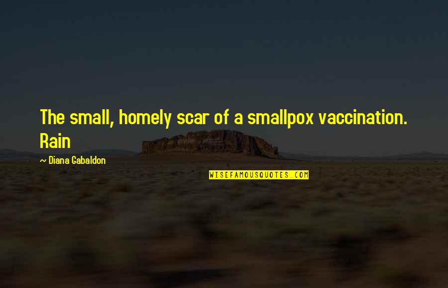 Facial Expressions Quotes By Diana Gabaldon: The small, homely scar of a smallpox vaccination.