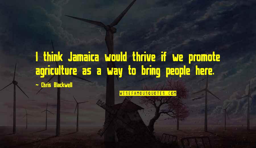 Faciles In English Quotes By Chris Blackwell: I think Jamaica would thrive if we promote