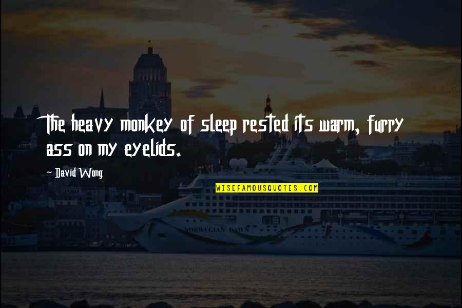 Facilmente Tiene Quotes By David Wong: The heavy monkey of sleep rested its warm,
