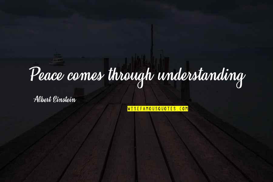 Facing Bad Times Quotes By Albert Einstein: Peace comes through understanding Facing Bad Times Quotes By Albert Einstein: Peace comes through understanding