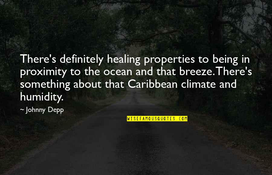Facing The Future Without Fear Quotes By Johnny Depp: There's definitely healing properties to being in proximity