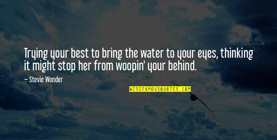 Facing Your Demons Quotes By Stevie Wonder: Trying your best to bring the water to