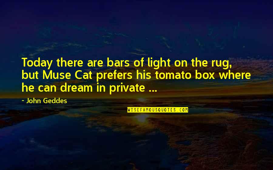 Facio Conjugation Quotes By John Geddes: Today there are bars of light on the