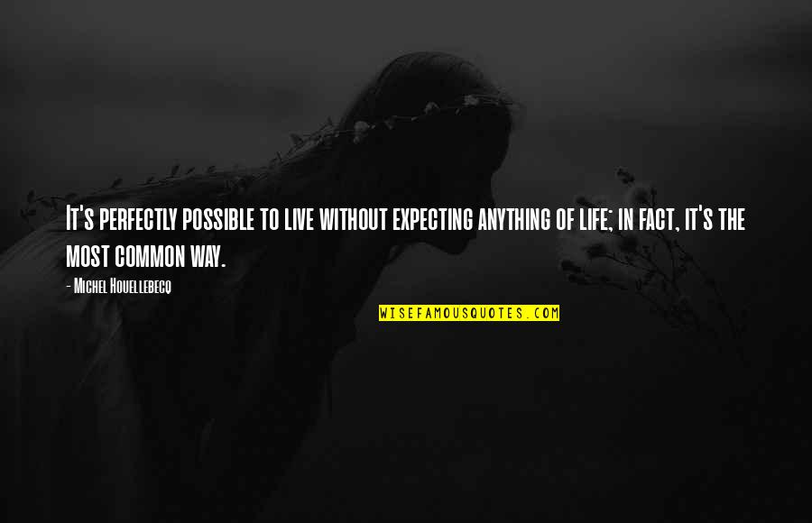 Fact Of Life Quotes By Michel Houellebecq: It's perfectly possible to live without expecting anything