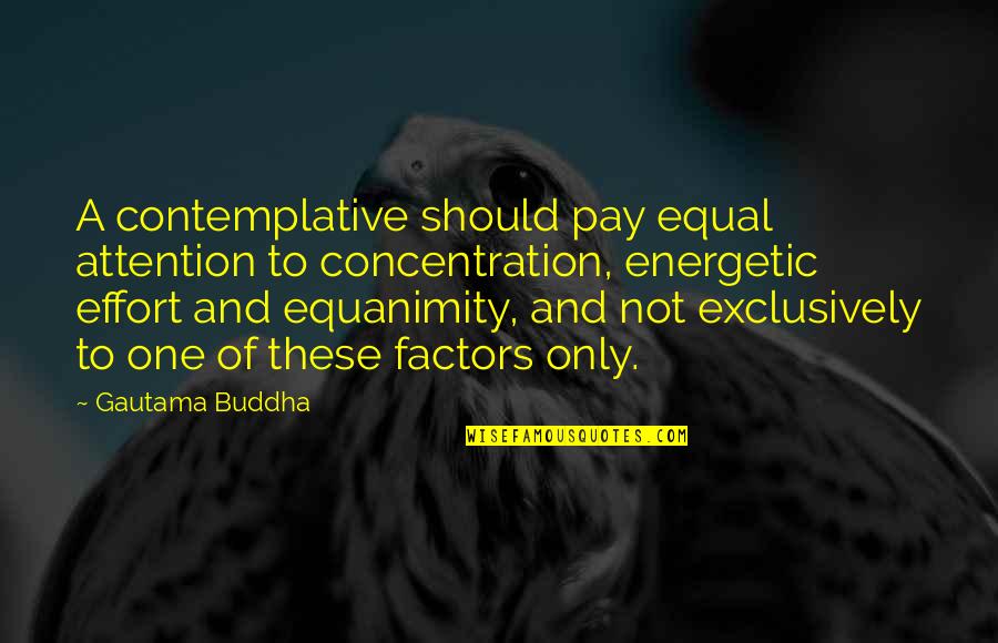 Factors Quotes By Gautama Buddha: A contemplative should pay equal attention to concentration,