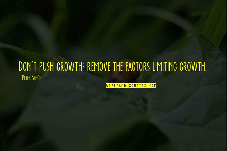 Factors Quotes By Peter Senge: Don't push growth; remove the factors limiting growth.