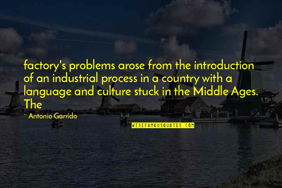 Factory's Quotes By Antonio Garrido: factory's problems arose from the introduction of an