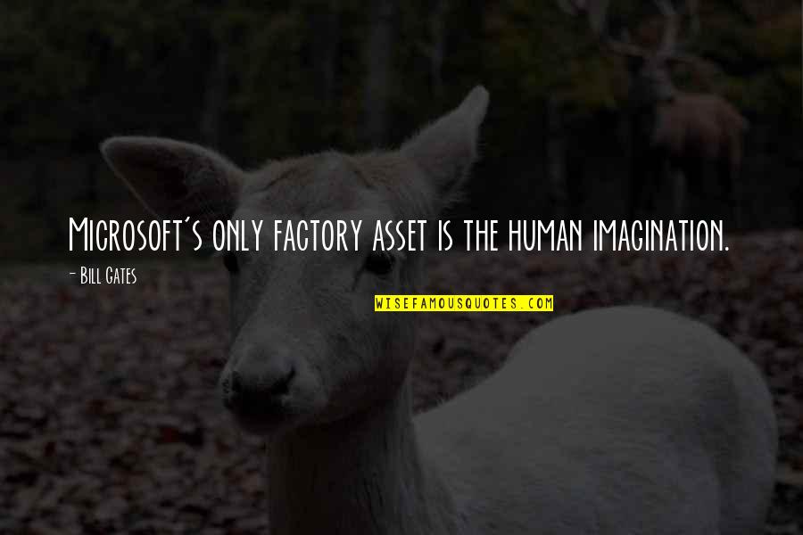 Factory's Quotes By Bill Gates: Microsoft's only factory asset is the human imagination.