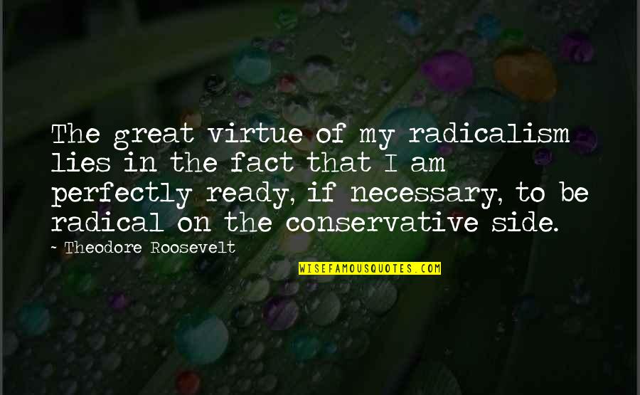 Facts And Lies Quotes By Theodore Roosevelt: The great virtue of my radicalism lies in