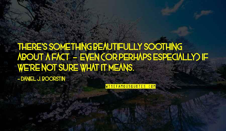 Facts And Reality Quotes By Daniel J. Boorstin: There's something beautifully soothing about a fact -