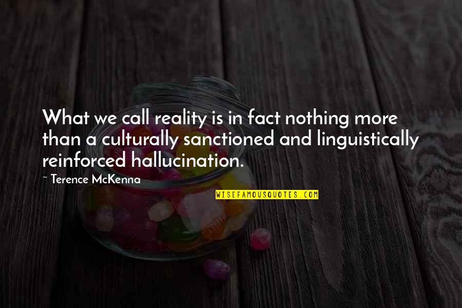 Facts And Reality Quotes By Terence McKenna: What we call reality is in fact nothing