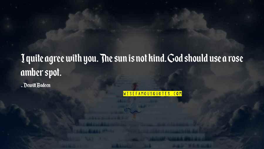 Factusistemas Quotes By Dewitt Bodeen: I quite agree with you. The sun is