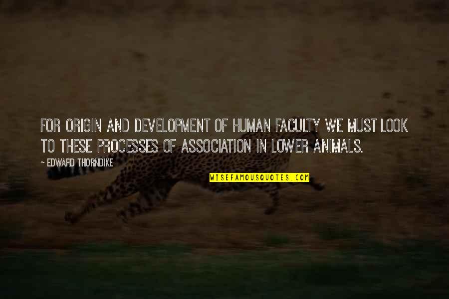 Faculty Quotes By Edward Thorndike: For origin and development of human faculty we Faculty Quotes By Edward Thorndike: For origin and development of human faculty we