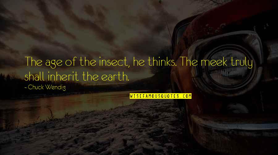 Facusem Quotes By Chuck Wendig: The age of the insect, he thinks. The